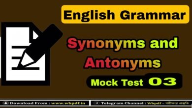 English Grammar Mock Test 03
